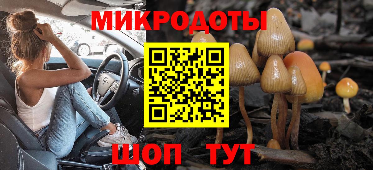 Псилоцибиновые грибы ЛСД Дубна