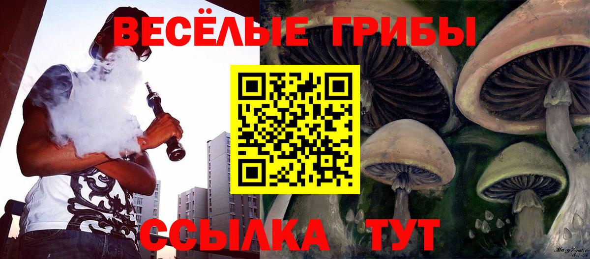 Дубна  Галлюциногенные грибы мицелий  дарнет шоп  Вход с VPN 